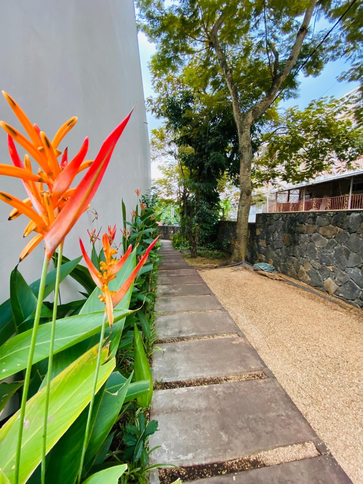 Belle Haven Gf 1Bedroom Flat Mont-Choisy Ngoại thất bức ảnh